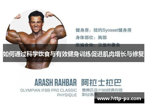 如何通过科学饮食与有效健身训练促进肌肉增长与修复
