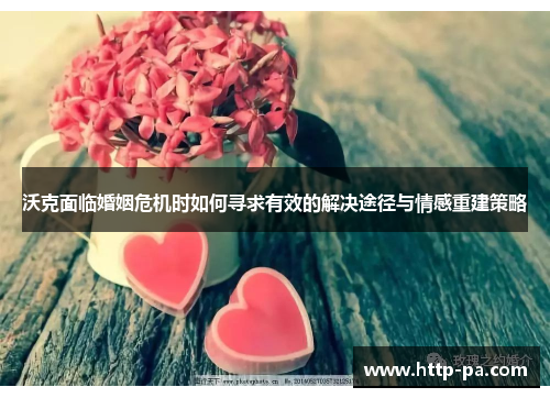沃克面临婚姻危机时如何寻求有效的解决途径与情感重建策略