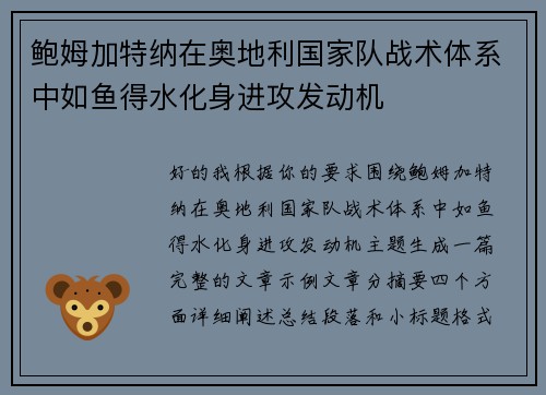 鲍姆加特纳在奥地利国家队战术体系中如鱼得水化身进攻发动机 鲍姆加特纳在奥地利国家队战术体系中如鱼得水化身进攻发动机