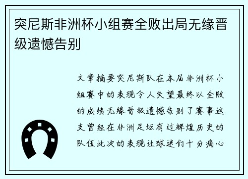突尼斯非洲杯小组赛全败出局无缘晋级遗憾告别